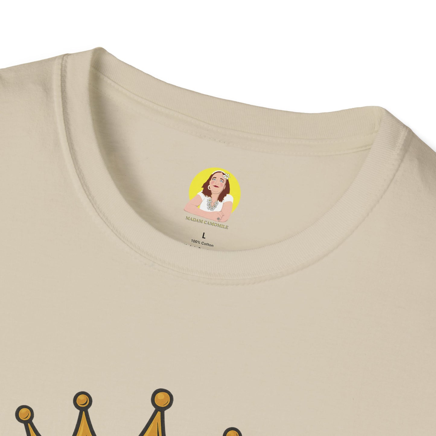 BBQ King T-Shirt - Unisex Softstyle Tee, Perfect for Grilling Season, Father's Day Gift, Backyard BBQs, Cookouts, Summer Fun