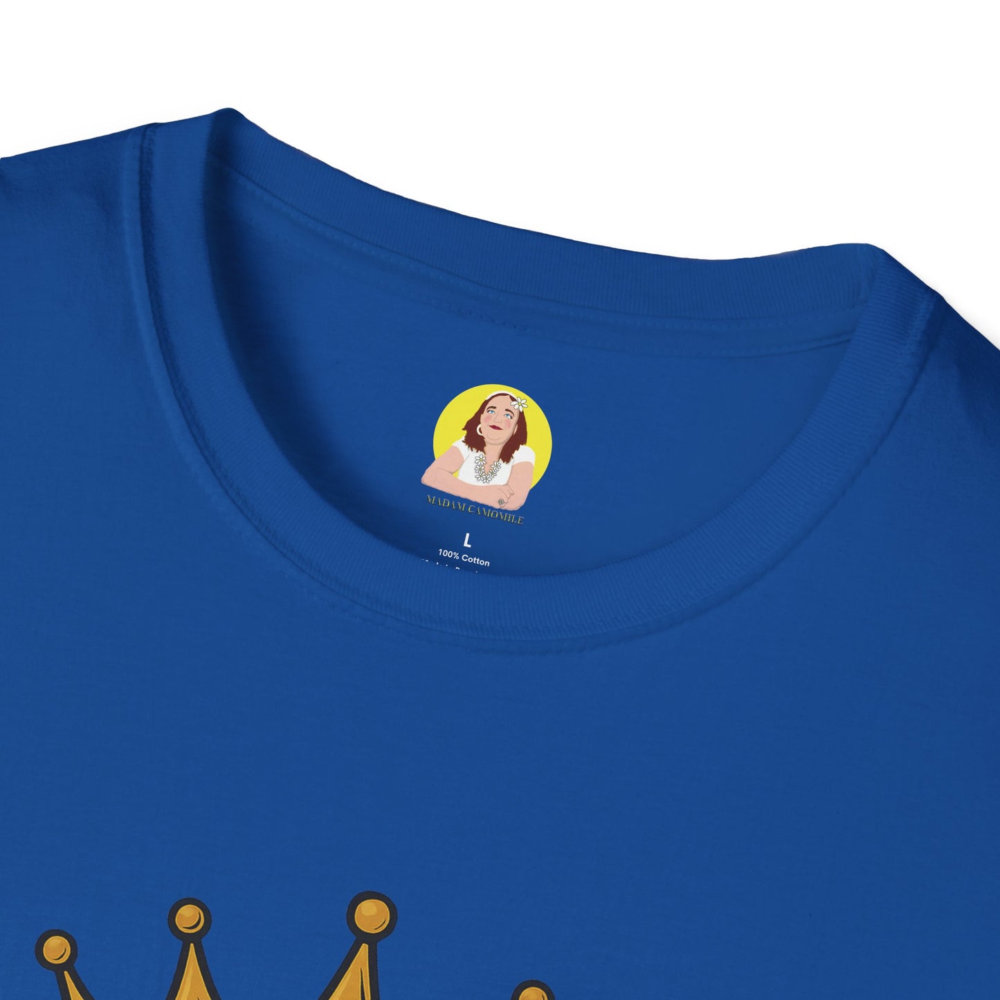 BBQ King T-Shirt - Unisex Softstyle Tee, Perfect for Grilling Season, Father's Day Gift, Backyard BBQs, Cookouts, Summer Fun