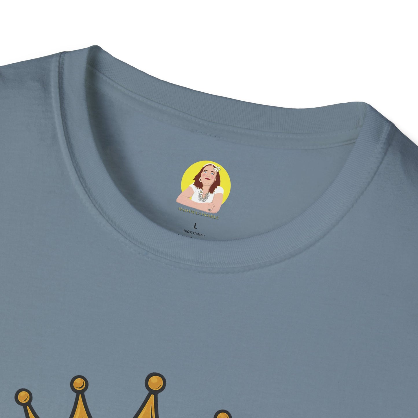 BBQ King T-Shirt - Unisex Softstyle Tee, Perfect for Grilling Season, Father's Day Gift, Backyard BBQs, Cookouts, Summer Fun