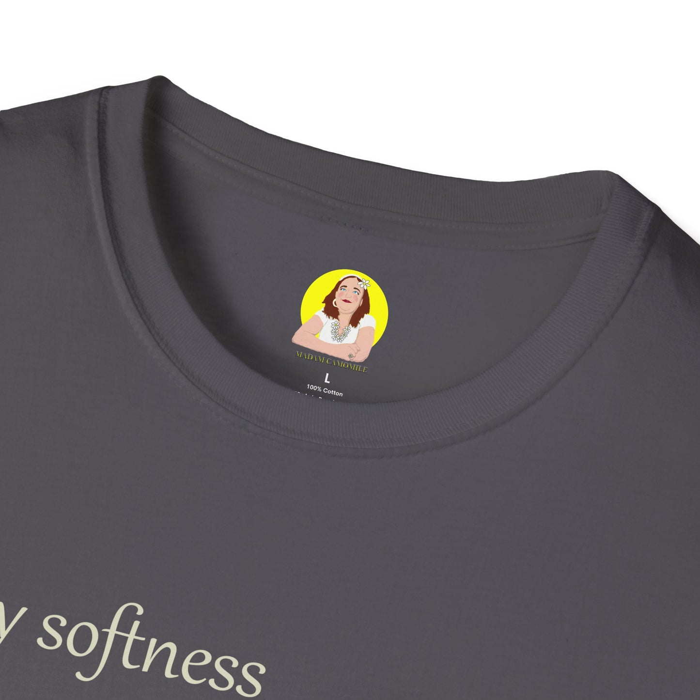 My Softness is My Strength T-Shirt, Inspirational Tee, Gift for Her, Motivational Shirt, Spring Fashion, Positive Vibes