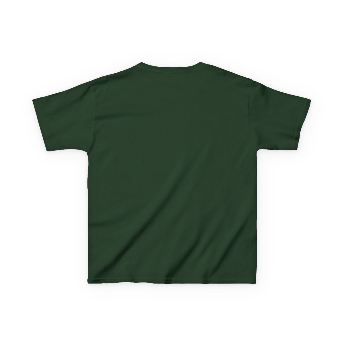 Kids Graphic Tee with Dinosaur Design, Stay Wild, Fun T-Shirt for Boys, Youth Apparel, Gift for Birthdays, Playdate Wear, Casual Style