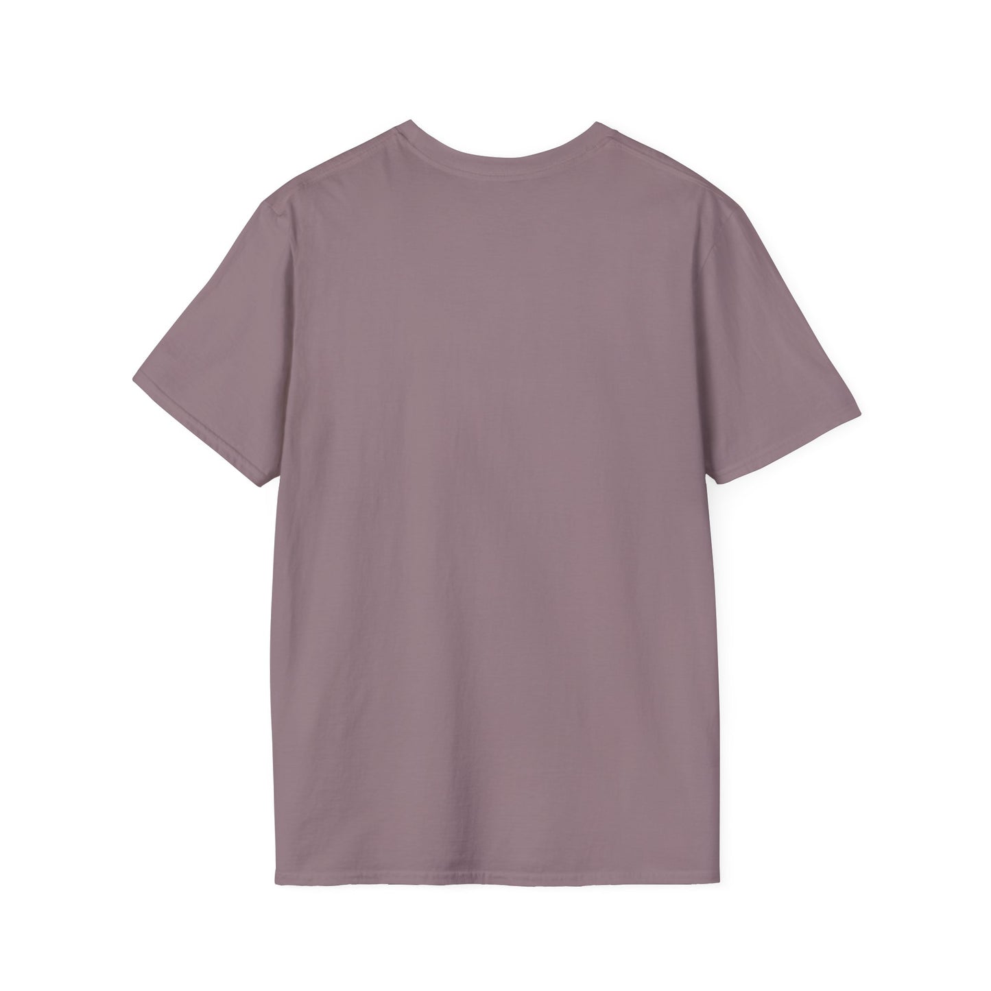 My Softness is My Strength T-Shirt, Inspirational Tee, Gift for Her, Motivational Shirt, Spring Fashion, Positive Vibes
