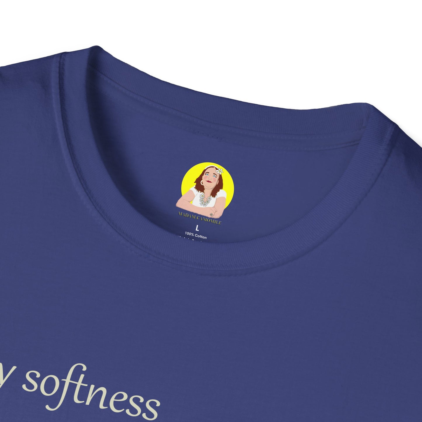 My Softness is My Strength T-Shirt, Inspirational Tee, Gift for Her, Motivational Shirt, Spring Fashion, Positive Vibes